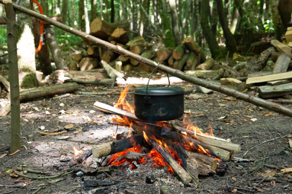 Wilderness Axe Skills And Campcraft Book By Paul Kirtley